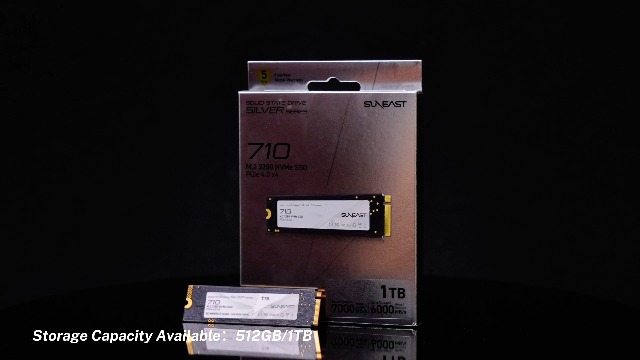 Amazon.com: SUNEAST 1TB SSD M.2 2280 PCIe Gen4.0 NVMe Internal SSD